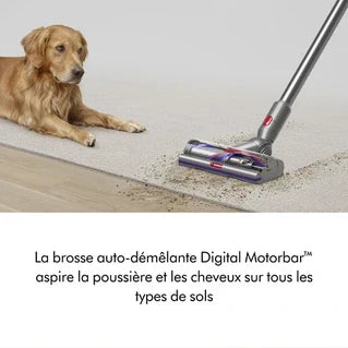 Aspiradora escoba Dyson V15 DETECT ABSOLUTE
