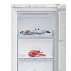 Congélateur BEKO RFNM200E40WN avec porte blanche et rangement intérieur spacieux pour aliments congelés.