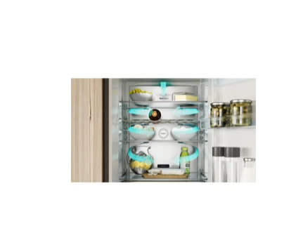 Asko R23841B Einzeltürkühlschrank Edelstahl Black Steel 185 cm